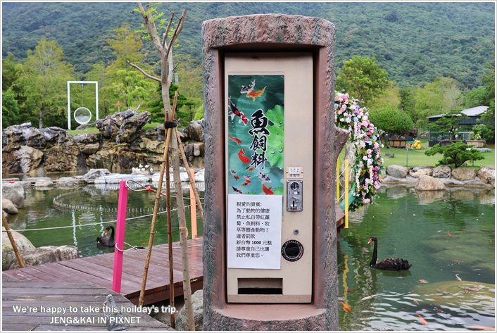 花蓮｜秀林－洄瀾灣休閒農場～可愛動物近距離餵食.水豚君.狐蒙