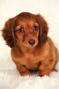 夫妻檔單樣照做專為中古屋出租房屋油漆壁癌,清潔,廢棄物垃圾清