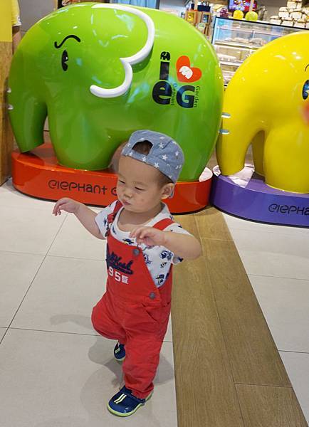 1449.JPG 1449.JPG