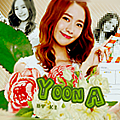 05 - SNSD(歐美小貼) YN.png