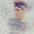 02 - EXO(幽藍溶圖) KS.png