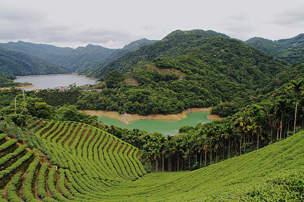 千島1未命名.png