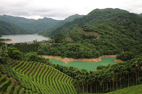 千島5未命名.png