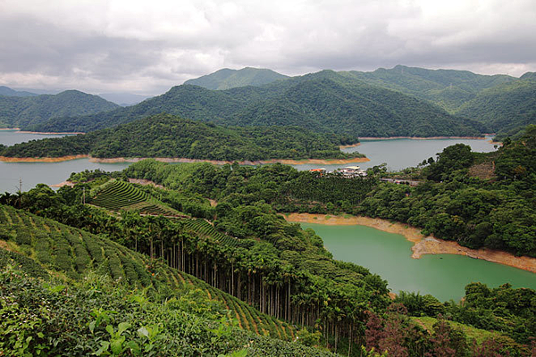 千島8未命名.png