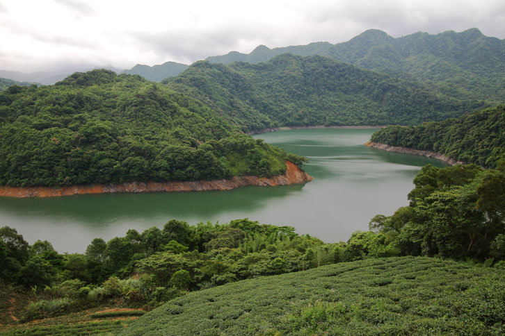 千島9未命名.png