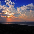 IMG_3677.jpg