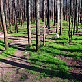 IMG_0780.jpg