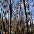 IMG_0795.jpg