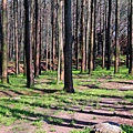 IMG_0783.jpg
