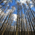 IMG_0797.jpg