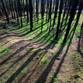 IMG_0811.jpg