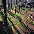 IMG_0801.jpg