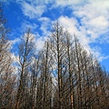IMG_0830.jpg