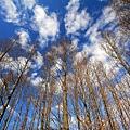 IMG_0828.jpg