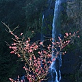 IMG_1408.jpg