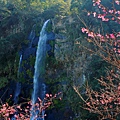 IMG_1414.jpg