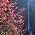 IMG_1429.jpg