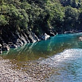 IMG_1440.jpg