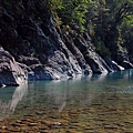 IMG_1445.jpg