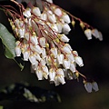 IMG_4888.jpg