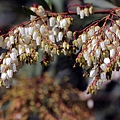 IMG_4887.jpg
