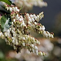 IMG_4920.jpg