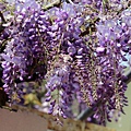IMG_7861.jpg