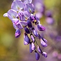 IMG_7700.jpg