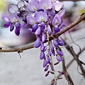 IMG_7703.jpg