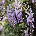 IMG_7705.jpg