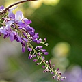 IMG_7710.jpg