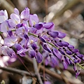 IMG_7712.jpg