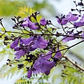 IMG_0904.jpg