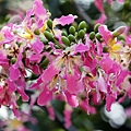 IMG_6057.jpg