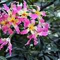 IMG_6076.jpg