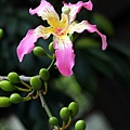 IMG_6148.jpg