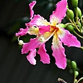 IMG_6151.jpg
