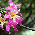 IMG_6152.jpg