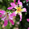 IMG_6155.jpg