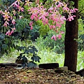 IMG_6171.jpg