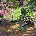 IMG_6168.jpg