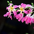 IMG_7713.jpg