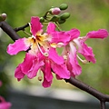 IMG_7716.jpg