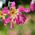 IMG_7714.jpg