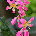 IMG_7731.jpg