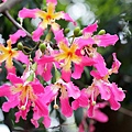 IMG_7736.jpg