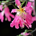 IMG_7740.jpg