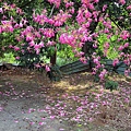 IMG_7742.jpg