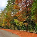 IMG_6581.jpg