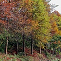 IMG_6495.jpg